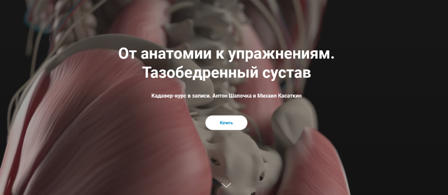 [Антон Шапочка, Михаил Касаткин] От анатомии к упр_0.png